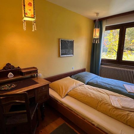 Haus Im Gruenen Apartman Saalfelden am Steinernen Meer Kültér fotó